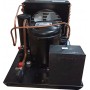 UNIDADE CONDENSADORA 1,0 HP 220V 60Hz 1F R22 1 MICRO ELGIN TUM2051E C/ TANQUE