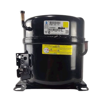 COMPRESSOR 1,0 HP 220V 60 Hz R22 TECUMSEH TYA9455 EES